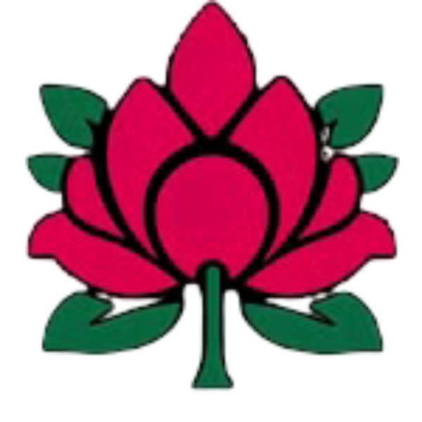 Bucci Flowers